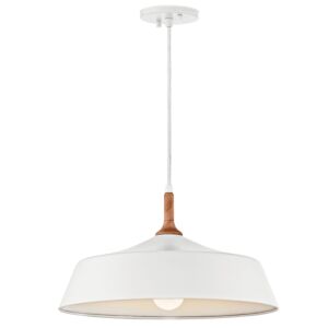 Danika 1-Light Pendant in White