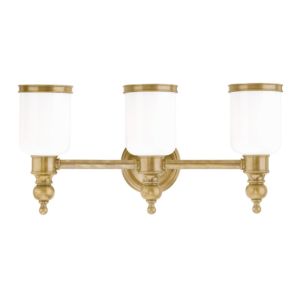 Chatham Three Light Bath Bracket in Aged Brass by Hudson Valley