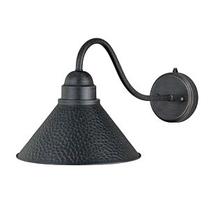 Outland 1-Light Outdoor Wall Mount in Aged Iron and Light Gold