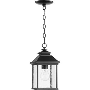 Pearson 1-Light Outdoor Lantern in Textured Black