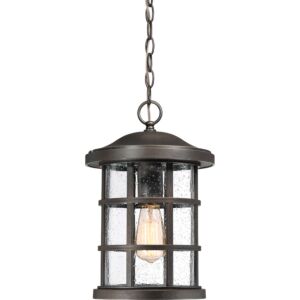 Crusade One Light Outdoor Hanging Lantern in Palladian Bronze by Quoizel