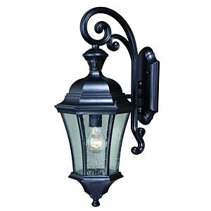 Aberdeen 1-Light Motion Sensor Outdoor Wall Light in Shiny Black