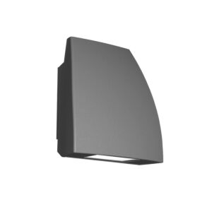 Endurance 1-Light LED Wall Light in Architectural Graphite