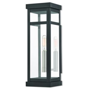 Hopewell 1-Light Outdoor Wall Lantern in Black w with Brushed Nickel Cluster and Polished Chrome Stainless Steel