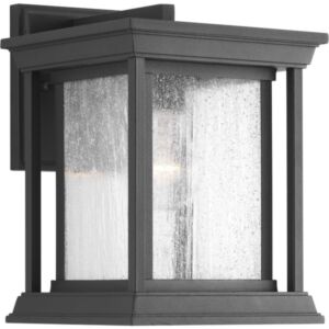 Endicott 1-Light Wall Lantern in Black