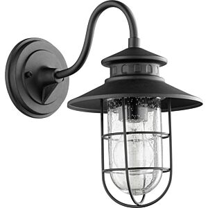 Moriarty 1-Light Outdoor Lantern in Textured Black