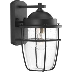 Holcombe 1-Light Wall Lantern in Black