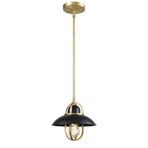 Peggy'S Cove 1-Light Mini-Pendant in Graphite and Venetian Brass