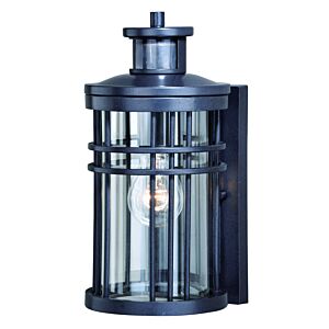 Wrightwood 1-Light Motion Sensor Outdoor Wall Light in Vintage Black