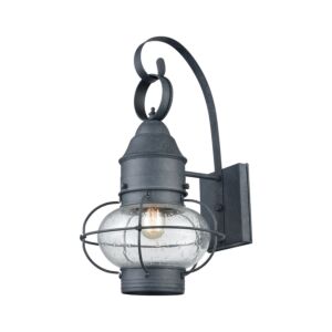 Onion 1-Light Outdoor Wall Sconce in Aged Zinc