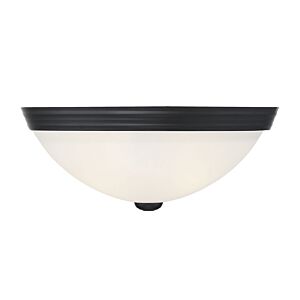 Flush Mount 2-Light Flush Mount in Matte Black