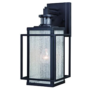 Hyde Park 1-Light Motion Sensor Outdoor Wall Light in Espresso Bronze