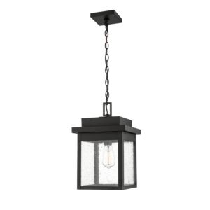 Belle Chasse One Light Outdoor Hanging Lantern in Powder Coat Black by Millennium