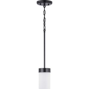 Elevate 1-Light Mini-Pendant in Black