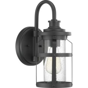 Haslett 1-Light Wall Lantern in Black