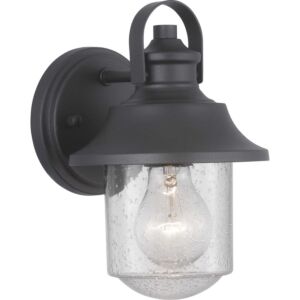 Weldon 1-Light Wall Lantern in Black