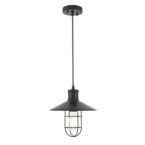 Flaneur 1-Light Pendant in Black