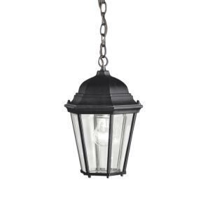 Madison 1-Light Outdoor Pendant in Black