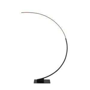 Artcraft Cortina LED Floor Lamp in Matte Black