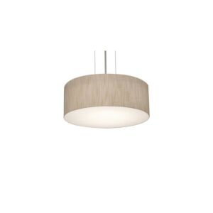 Anton 2-Light Pendant in Satin Nickel