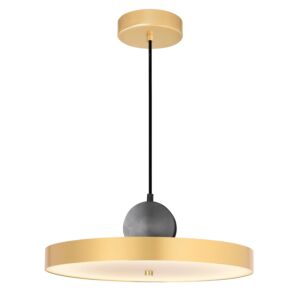 CWI Lighting Saleen LED Pendant with Brass+Black Finish