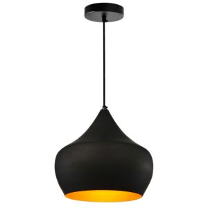 Dynamic One Light Pendant in Black by CWI Lighting