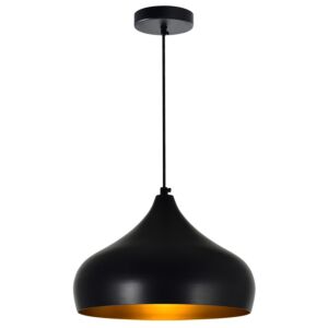 Dynamic One Light Pendant in Black by CWI Lighting