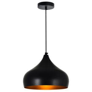 Dynamic One Light Pendant in Black by CWI Lighting