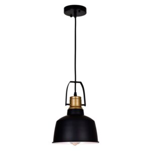 Elisa One Light Pendant in Black by CWI Lighting