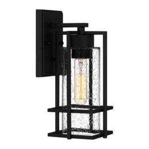 Damien One Light Outdoor Wall Mount in Earth Black by Quoizel