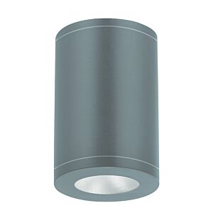 Tube Arch 1-Light LED Flush Mount Ceiling Light in Graphite