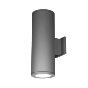 Tube Arch 2-Light LED Wall Sconce in Graphite