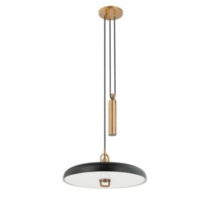 Plummet LED Pendant in Patina BrassSoft Black by Troy Lighting