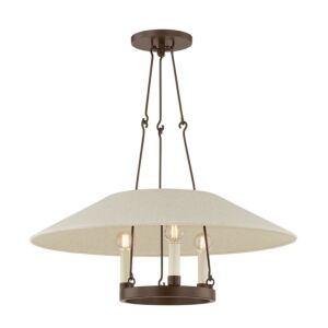 Archive Three Light Chandelier in Bronze by Troy Lighting