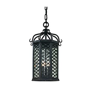 Los Olivos Three Light Hanging Lantern in Textured Iron by Troy Lighting