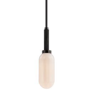 Annex One Light Pendant in Anodized Black by Troy Lighting