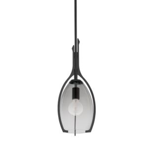 Pacifica One Light Pendant in Forged Iron by Troy Lighting