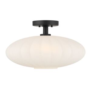 1-Light  Ceiling Light in Matte Black