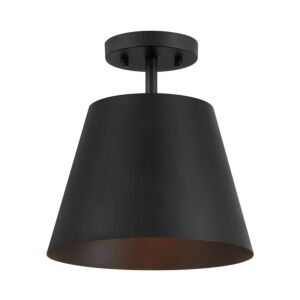 1-Light  Ceiling Light in Matte Black