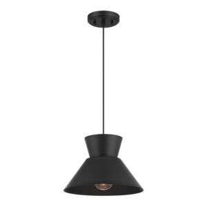 1-Light  Pendant in Matte Black