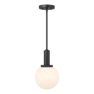 1-Light  Pendant in Matte Black