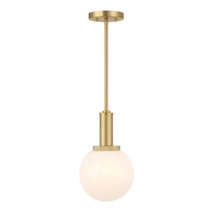 1-Light  Pendant in Natural Brass