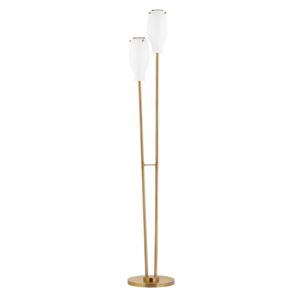 Geyser Two Light Floor Lamp in Patina Brass by Troy Lighting