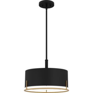 Quoizel Pendant Three Light Pendant in Matte Black by Quoizel