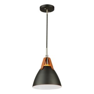 Tote 1-Light Pendant in Black