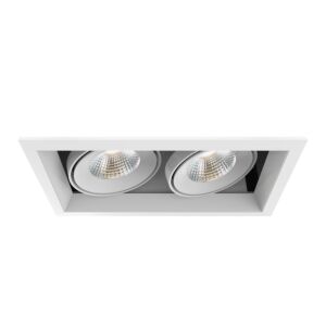 Eurofase Te132Led 2-Light Recessed Light in Metal