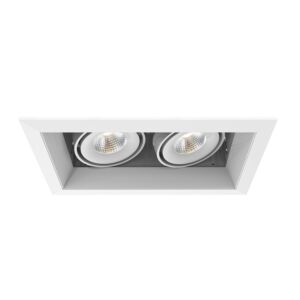 Eurofase Te162Led 2-Light Recessed Light in Metal