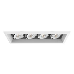 Eurofase Te164Aled 4-Light Recessed Light in Metal