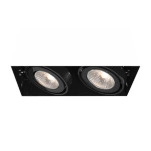 Eurofase Te212Gu10 2-Light Ceiling Light in Metal