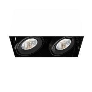 Eurofase Te222Led 2-Light Ceiling Light in Metal